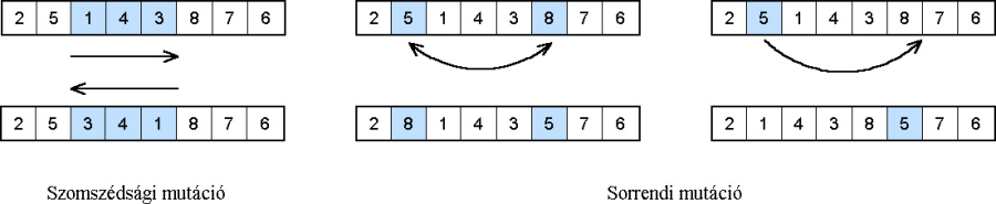 Mutációs operátorok permutációs ábrázolásmód esetén